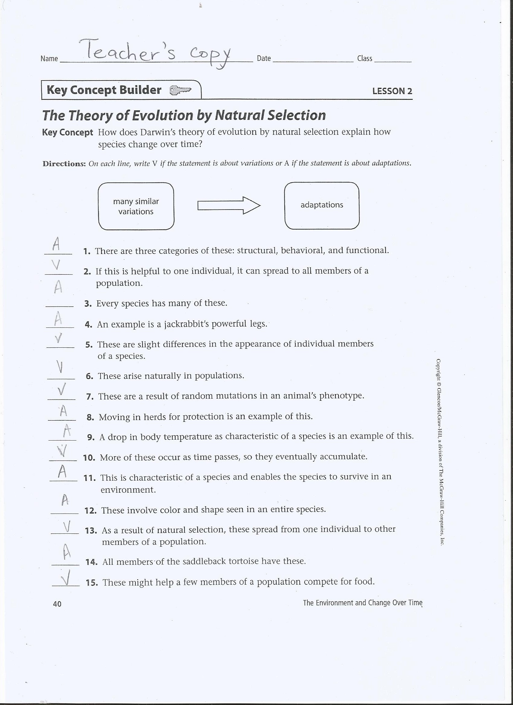 Evolution And Natural Selection Science Skills Worksheet Answers With Regard To Darwin039s Natural Selection Worksheet Answers